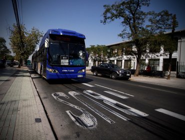 Nuevo horario de vía exclusiva en Santa Rosa permitió reducir en 10 minutos tiempos de viaje del Transantiago