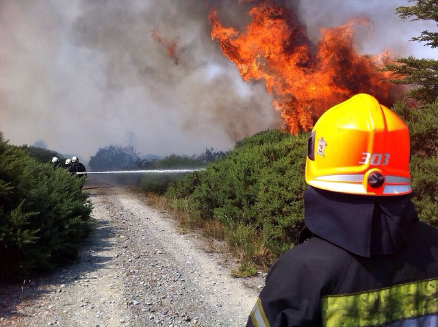 Incendios forestales destruyen más de 20 mil hectáreas en cuatro regiones del sur del país