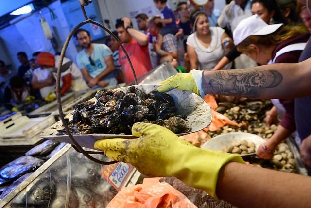 Van más de 16 toneladas de pecados y mariscos decomisados