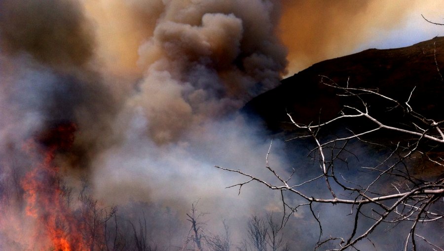 Declaran alerta amarilla en Litueche por incendio forestal