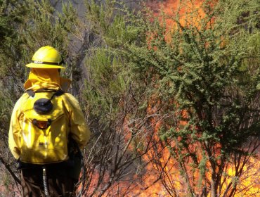 Conaf recibió 32.000 litros de líquido retardante para incendios forestales