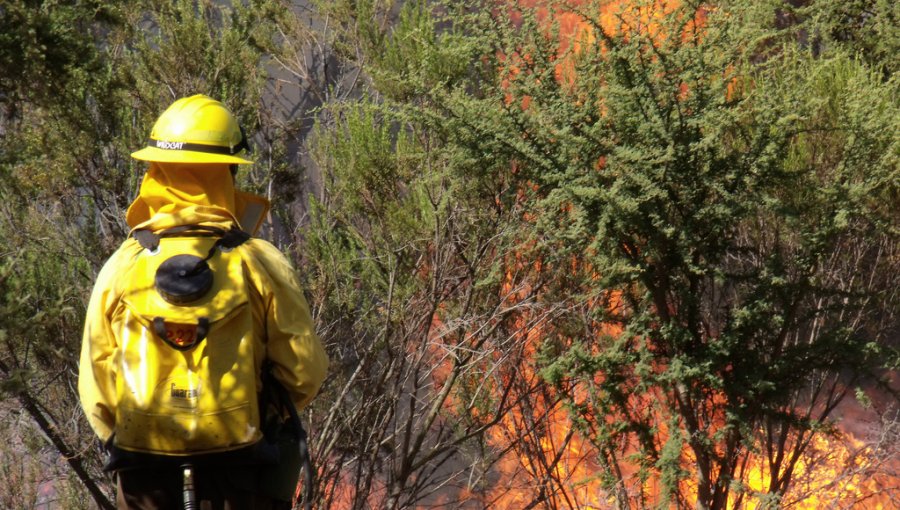 Conaf recibió 32.000 litros de líquido retardante para incendios forestales