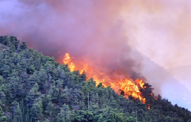 Alerta Temprana Preventiva en Choapa y Limarí ante posibilidad de incendios