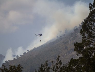 19 incendios forestales siguen activos, incluyendo el de China Muerta