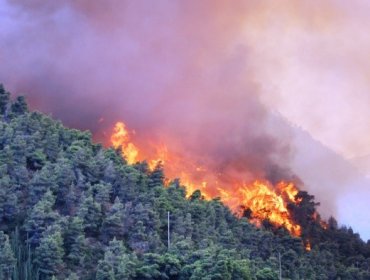 Alerta Temprana Preventiva en Choapa y Limarí ante posibilidad de incendios