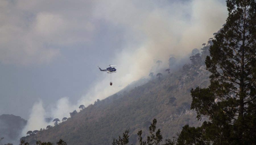 19 incendios forestales siguen activos, incluyendo el de China Muerta