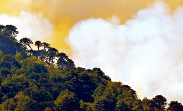 Bajan de Roja a Amarilla alertas por incendios forestales en La Araucanía