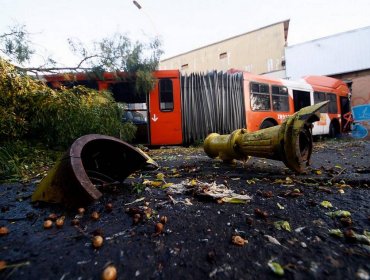 Doce personas lesionadas en accidente de bus del Transantiago