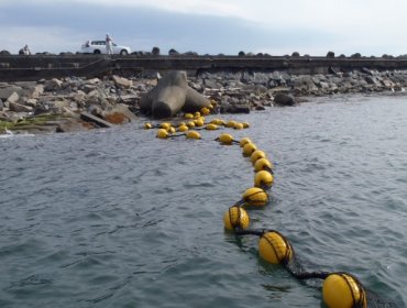 Japón medita evaporar o almacenar bajo tierra agua radiactiva de Fukushima