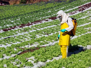 Ministerio salud brasileño pide reducción de uso de agroquímicos en el país