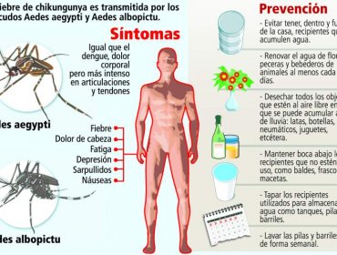 Aumentan casos de chikunguña, que sigue concentrado en Asunción metropolitano