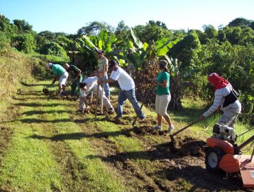 Puerto Rico detecta por primera vez la destructiva mosca mediterránea