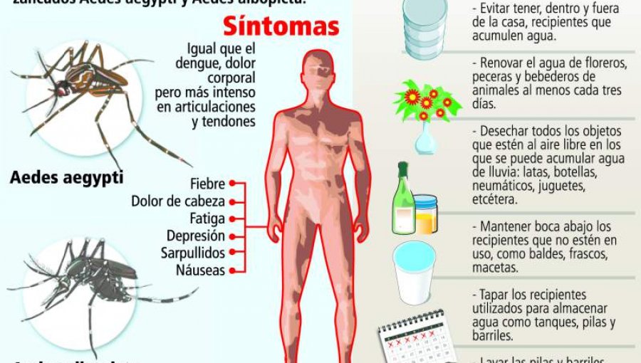 Aumentan casos de chikunguña, que sigue concentrado en Asunción metropolitano