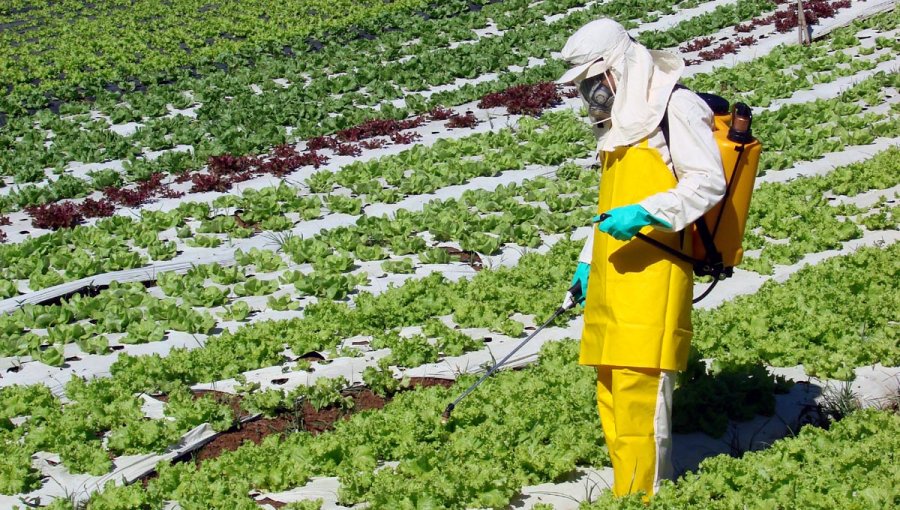 Ministerio salud brasileño pide reducción de uso de agroquímicos en el país