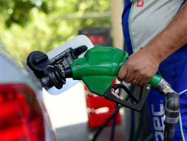 Precios de las bencinas y del petróleo bajarían esta semana