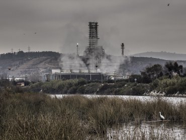 Documental revela abandono del Humedal de Concón