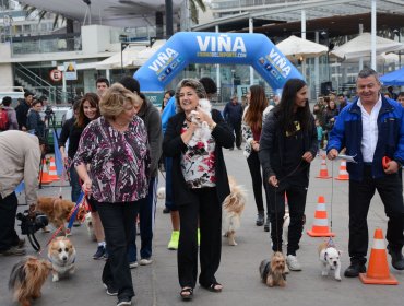 Comienzan fechas de "Perro Running" en Viña del Mar