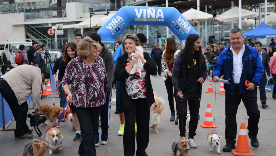 Comienzan fechas de "Perro Running" en Viña del Mar