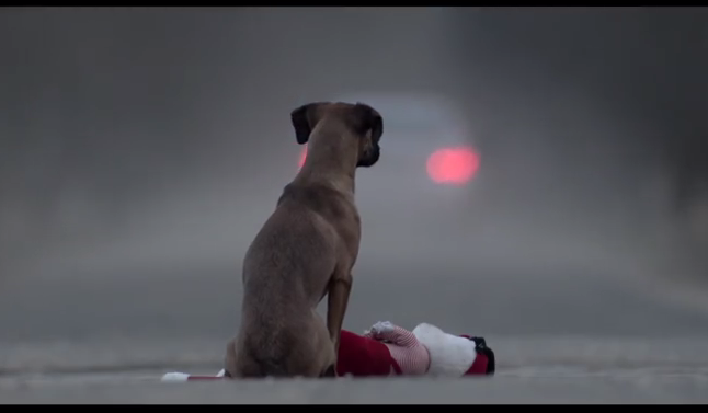 La cruda campaña para incentivar la tenencia responsable de mascotas