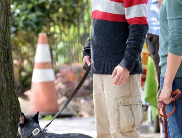 Brad Pitt ya no es sexy: Mira su nuevo look