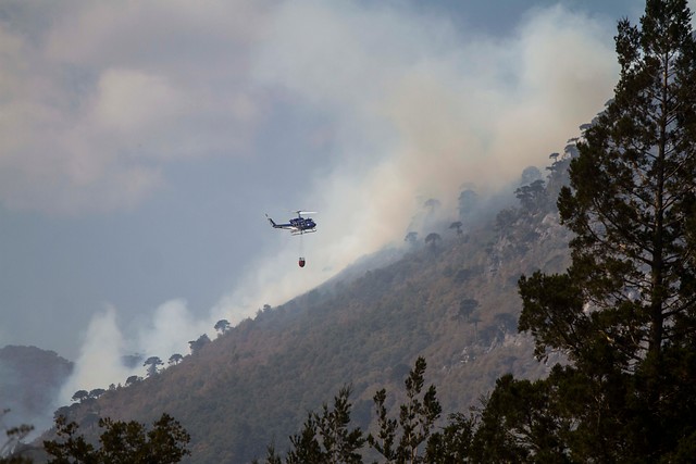 Tres incendios forestales se mantienen activos y otros 19 están controlados