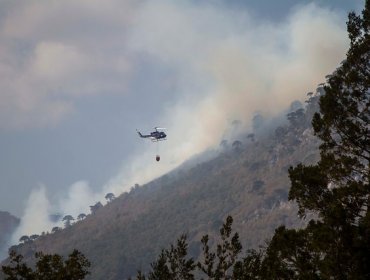 Tres incendios forestales se mantienen activos y otros 19 están controlados