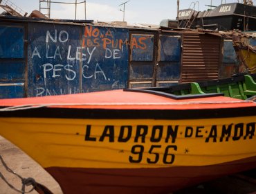 Juzgado de Garantía Acoge a tramitación querella por soborno de Grupo Angelini a 5 senadores por ley de pesca