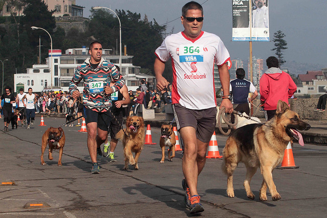 Se realizó la primera “Perro Running” en Viña del Mar