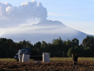 Los Ángeles: preemergencia ambiental debido a cenizas del volcán Calbuco