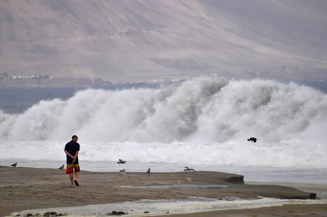 Onemi decretó Alerta Temprana en la costa de cinco regiones por marejadas