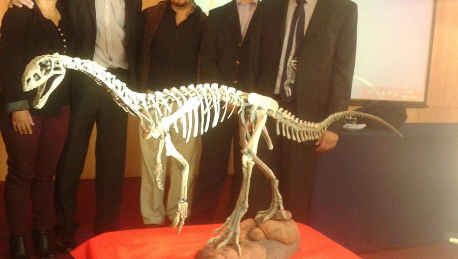 Chilesaurio: El dinosaurio chileno fue presentado oficialmente