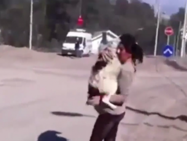 Video: Emotivo reencuentro de una mujer y su perro tras erupción del volcán Calbuco