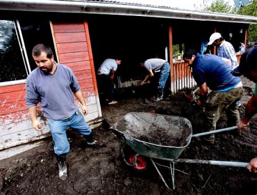 Subsecretario Burrows preocupado ante eventual brote de Hanta por el Calbuco