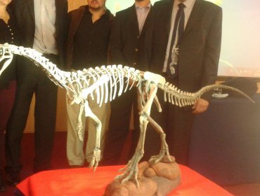 Chilesaurio: El dinosaurio chileno fue presentado oficialmente