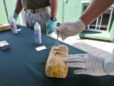 Policía incauta más de 200 kilos de pasta base y marihuana en La Pintana