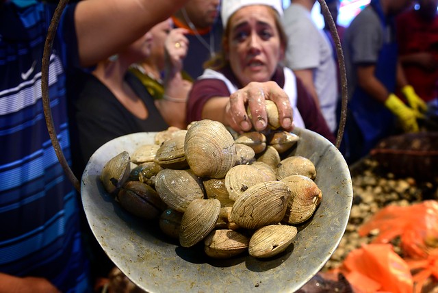 Sernapesca detecta Veneno Diarreico en mariscos del Golfo de Arauco