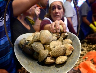 Sernapesca detecta Veneno Diarreico en mariscos del Golfo de Arauco