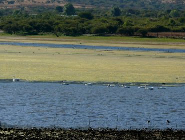 Valparaíso: Comisión de Riego aprueba iniciar rehabilitación del embalse El Melón