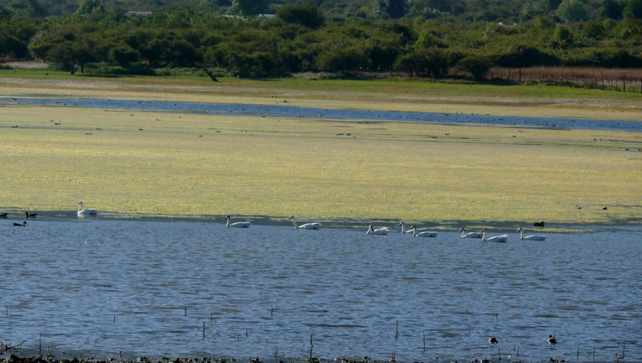 Valparaíso: Comisión de Riego aprueba iniciar rehabilitación del embalse El Melón