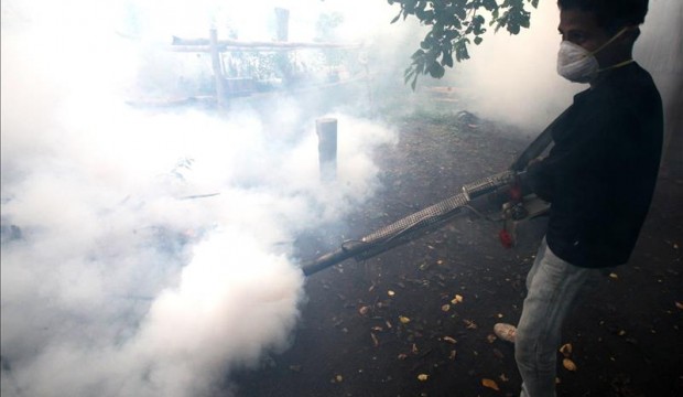 Bolivia: Primer fallecimiento por complicaciones derivadas de fiebre chikunguña