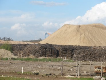 Pedirán informes sobre impacto de planta de acopio de chip en Los Ríos