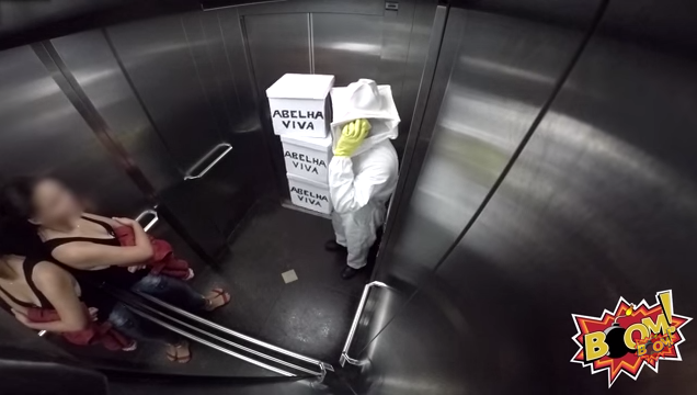 Video: Broma con abejas en un ascensor vuelve locos a ocupantes