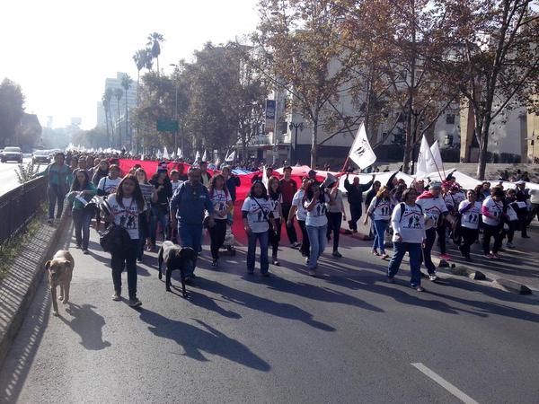 Marcha autorizada de Andha Chile recorre el centro de Santiago