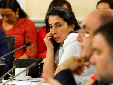 Diputada Karla Rubilar renunció a Amplitud por diferencias políticas