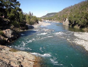 Gobierno aprueba creación de Santuario de la Naturaleza Cajón de Achibueno