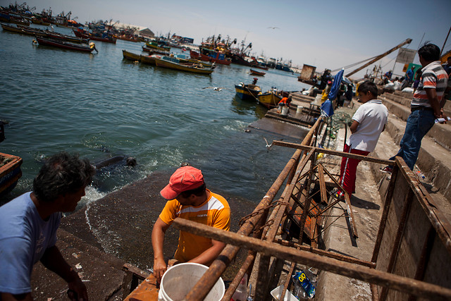 Arica, O’Higgins y Los Lagos lideran el crecimiento regional