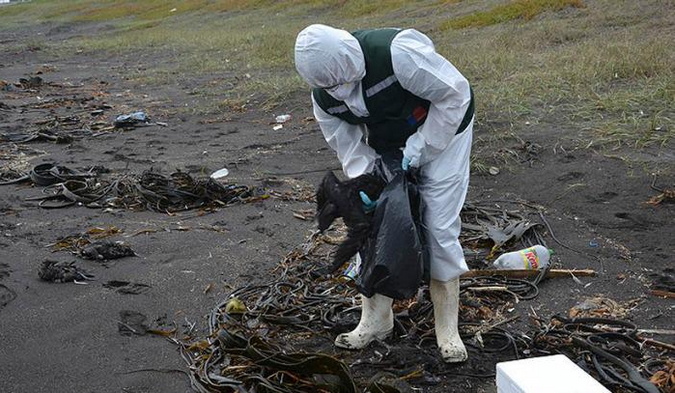 Actividad pesquera podría ser responsable de masiva muerte de aves en Bío Bío