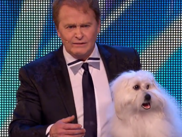 Video: Perro que habla impacta a jueces de Britain Got Talent