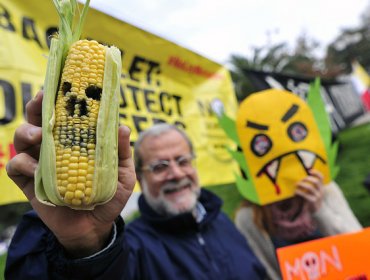 Marcha contra Monsanto reúne a decenas de personas en Santiago