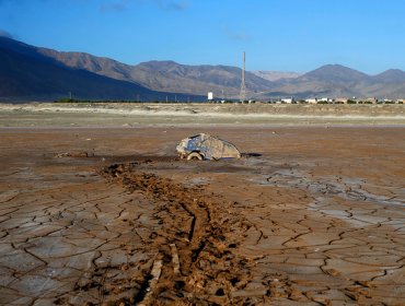 $13.700 millones para restablecer actividades agrícolas tras aluviones